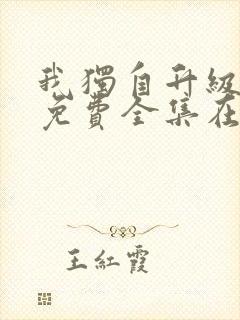 我独自升级动漫免费全集在线看