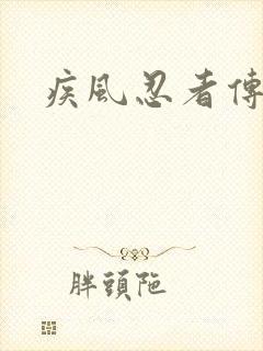 疾风忍者传下载