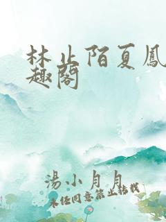 林止陌夏凤卿笔趣阁