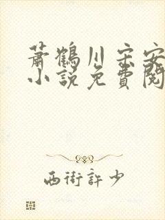 萧鹤川宋安羽的小说免费阅读