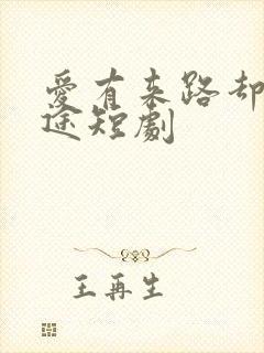 爱有来路却无归途短剧