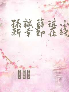 孙诚薛琪小说最新章节在线阅读