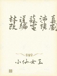 林道苏沛真小说改编电视剧