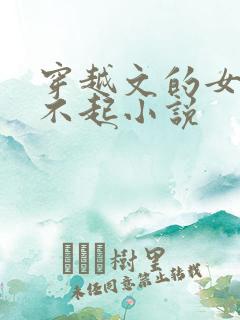 穿越文的女主伤不起小说