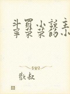 斗罗小说主角为宁荣荣的小说