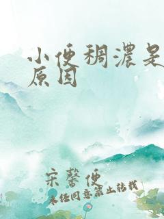 小便稠浓是什么原因