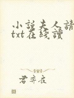 小说夫人请住手txt在线读