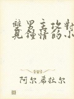 双男主攻对受一见钟情的小说