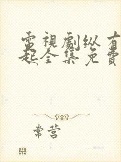 电视剧纵有疾风起全集免费播放