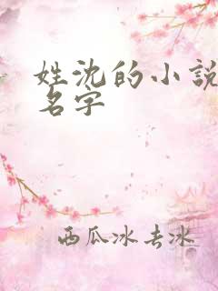 姓沈的小说女主名字