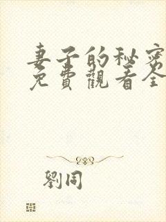 妻子的秘密日剧免费观看全集