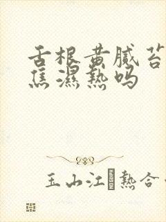 舌根黄腻苔是下焦湿热吗