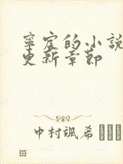 宁宸的小说最新更新章节