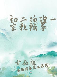 初二物理一对一家教辅导