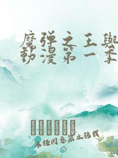 魔弹之王与战姬动漫第一季免费看