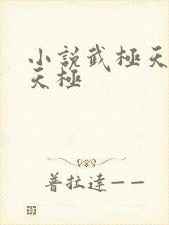 小说武极天尊陈天极