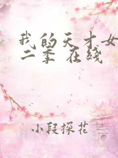 我的天才女友第二季 在线