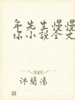 年先生慢慢喜欢你小说全文免费阅读