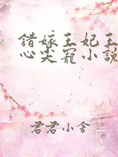 错嫁王妃王爷的心尖宠小说