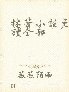 林萧小说免费阅读全部