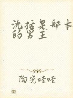 沈括是哪本小说的男主