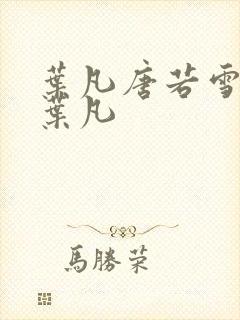 叶凡唐若雪王婿叶凡