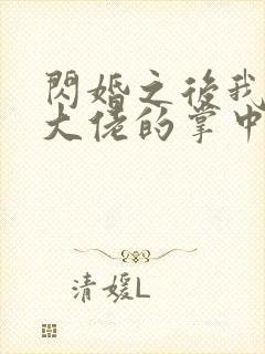 闪婚之后我成了大佬的掌中之物免费观看