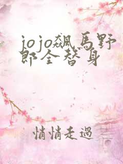 jojo飙马野郎全替身