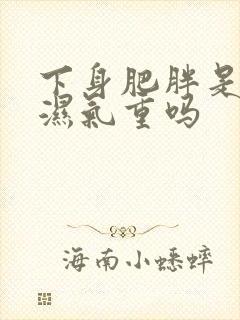 下身肥胖是因为湿气重吗