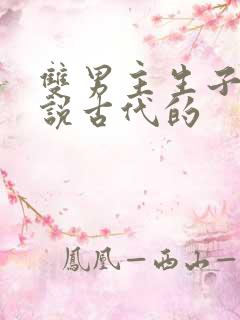 双男主生子文小说古代的