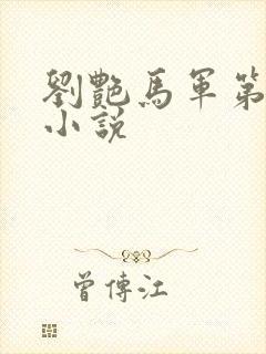 刘艳马军第九部小说