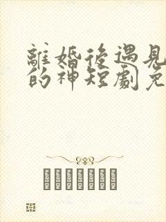 离婚后遇见心软的神短剧免费观看