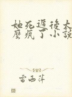 她死遁后太子怎么疯了小说