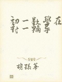 初一数学在线一对一辅导