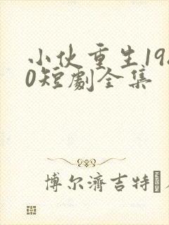 小伙重生1980短剧全集
