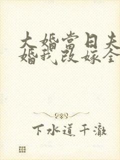 大婚当日夫君逃婚我改嫁全集完整版大结局