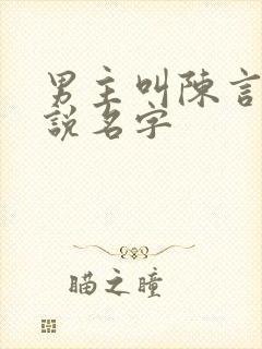 男主叫陈言的小说名字
