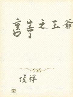 重生之王爷太重口了