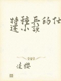 特种兵的仕途升迁小说