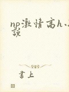 np激情高h小说