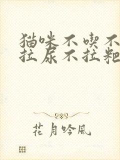 猫咪不吃不喝只拉尿不拉粑粑