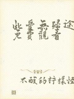 此爱无归途短剧免费观看