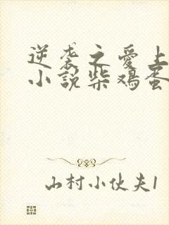 逆袭之爱上情敌小说柴鸡蛋免费阅读