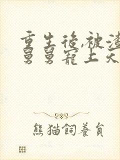 重生后,被渣男舅舅宠上天短剧