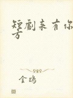 短剧来有你的地方