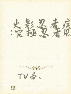 火影忍者疾风传:究极忍者风暴3