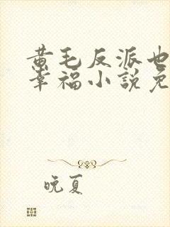 黄毛反派也想要幸福小说免费观看