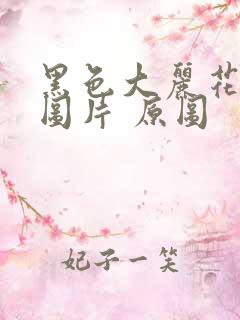 黑色大丽花真实图片 原图