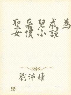 圣采儿成为我的女仆小说