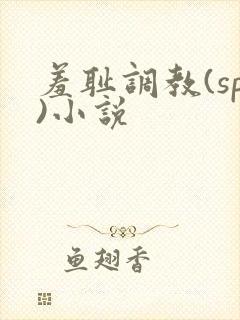 羞耻调教(sp)小说